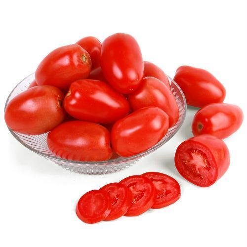 Tomate Longa Vida Ou Italiano